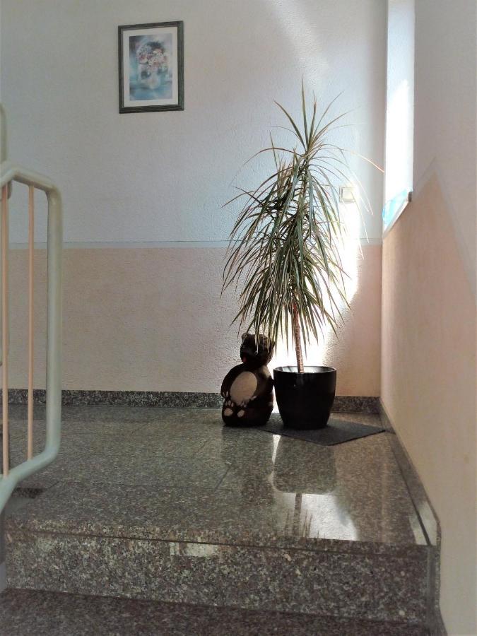 Ferienwohnung Jungbaer - Die Wohlfuehl-Adresse Im Stangenwald St. Ingbert Zewnętrze zdjęcie